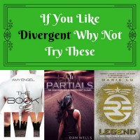 If You Like Divergent Why Not Try These